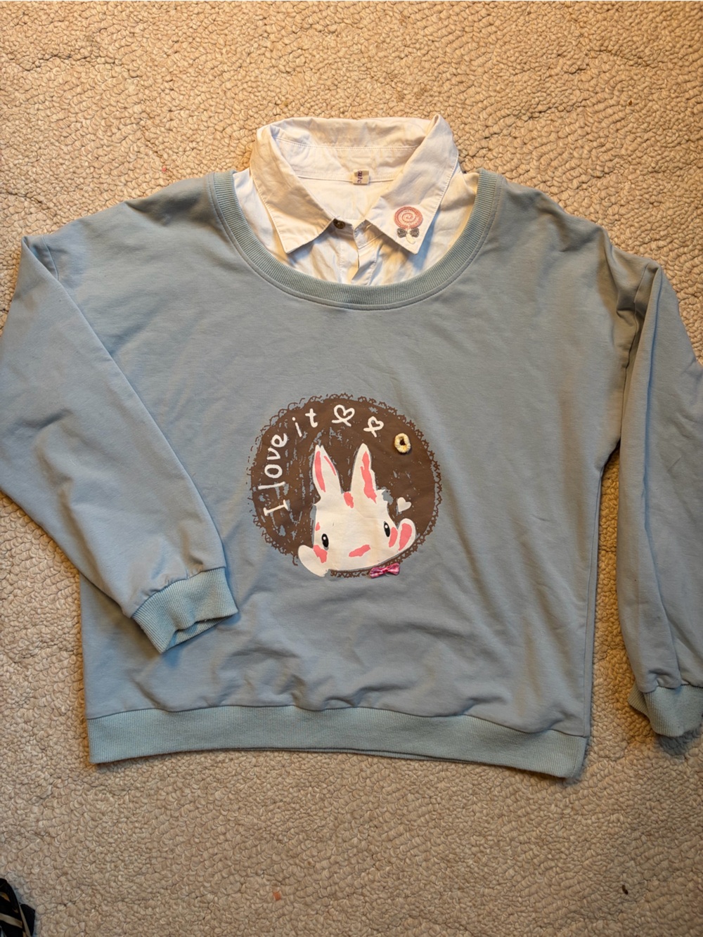 Light Blue Bunny Graphic Sweatshirt Top